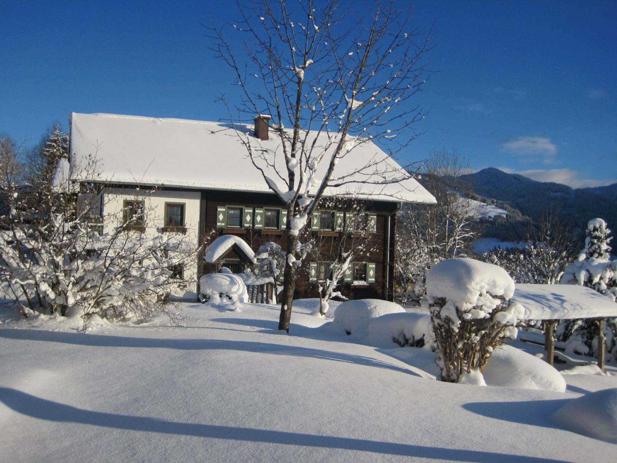 Deml Flachau