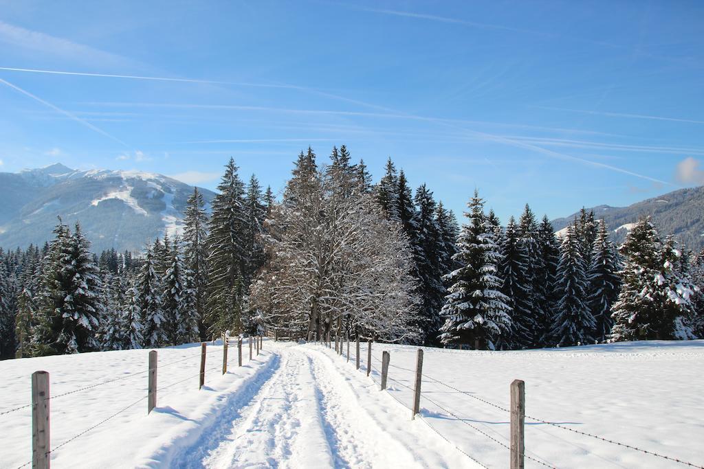 Deml Flachau