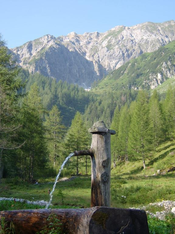 Deml Flachau