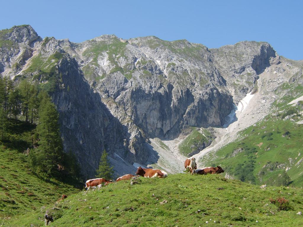Apartment Deml Flachau